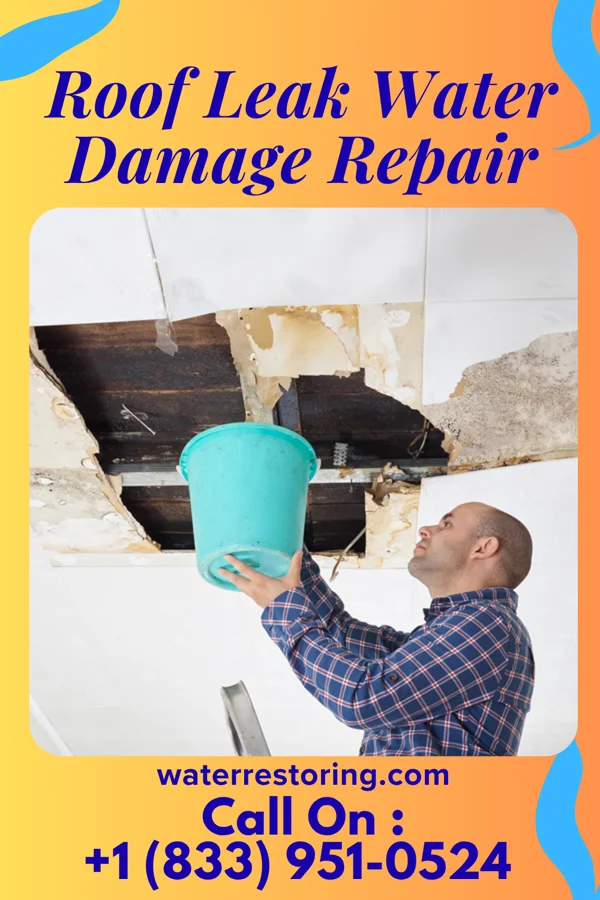 Roof Leak Water Damage Repair in Cuba, IL
