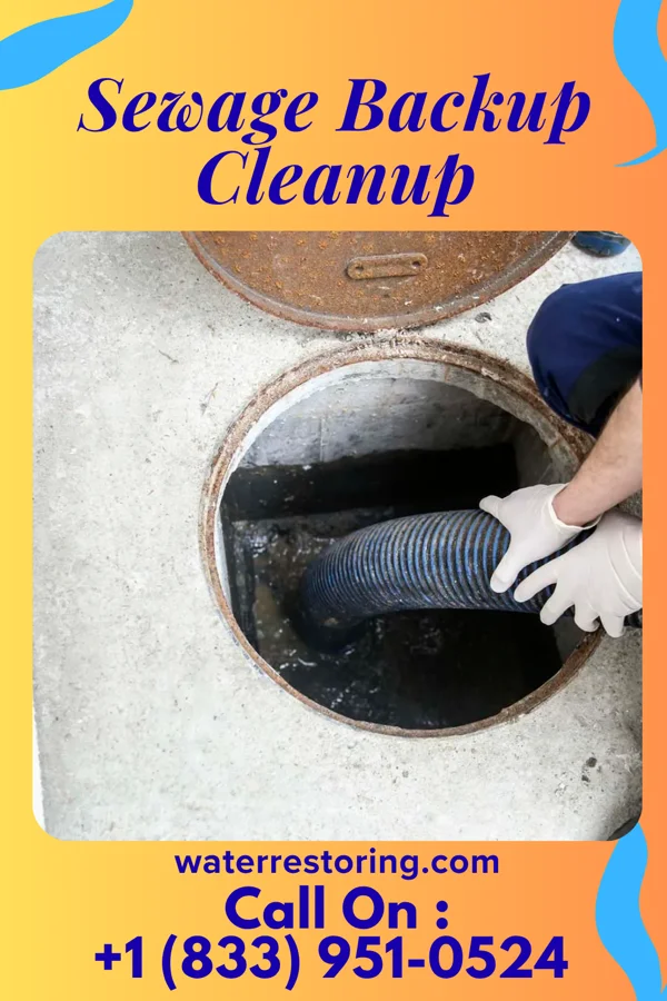 Sewage Backup Cleanup in Cuba, IL