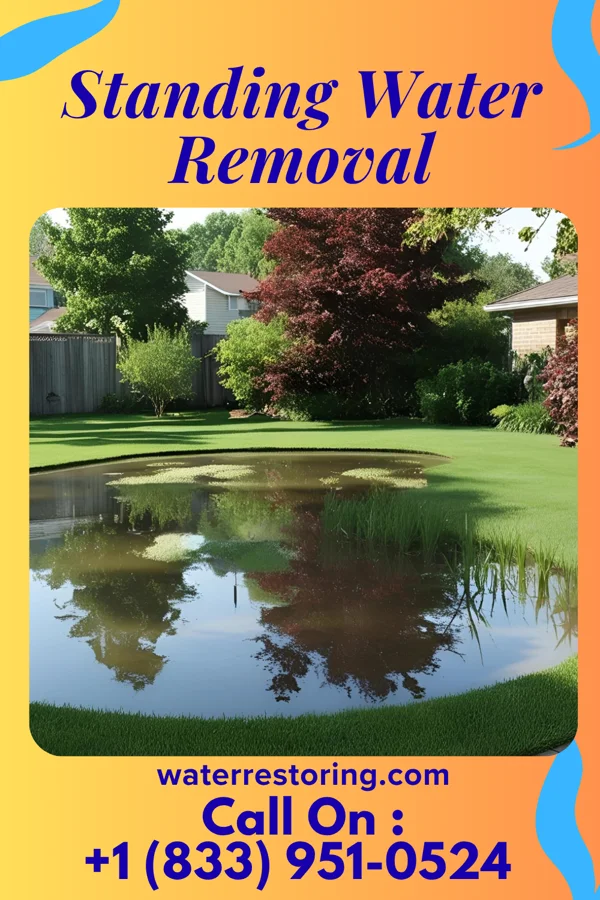 Standing Water Removal in Cuba, IL